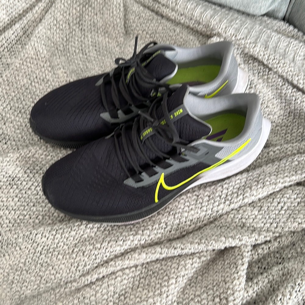 Nike Pegasus 38